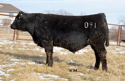 KM Broken Bow 091