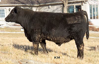 KM Full Measure 072