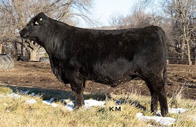 KM Jurisdiction 076